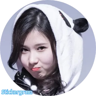 ☺️ bf22c5fe Stickergram mulher, retrato, panda, orelhas, moletom com capuz telegram sticker