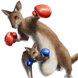 🥊 52b0777a Känguru, Joey, Boxen, Tiere, Wildtiere, rote Handschuhe, blaue Handschuhe whatsapp sticker