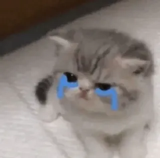 🥲 cbe666b5 Katze, weinend, Kätzchen, traurig, Tränen telegram sticker