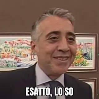 😎 8a3b74b6 ESATTO, LO SO telegram sticker