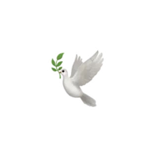 ❤️ bb20108b 鸽子, 和平, 鸟, 橄榄枝, 符号, 白色, 动物 whatsapp sticker