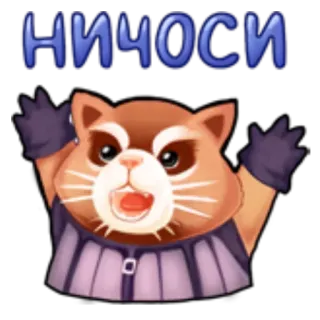 😦 dbca912e НИЧОСИ 고양이, 충격, 놀람, 애니메이션, 반응 telegram sticker