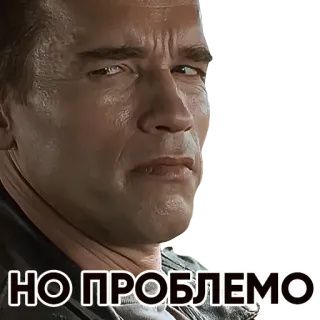 👌 4aabcac9 НО ПРОБЛЕМО arnold schwarzenegger, frase de película, ruso, no hay problema whatsapp sticker