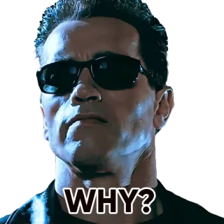 😕 616974b8 Terminator WHY? película, actor, meme, celebridad, cine whatsapp sticker