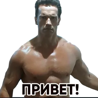 T2 telegram stickers