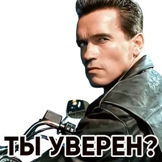 😬 9443bda1 Terminator ТЫ УВЕРЕН? Terminator, Arnold Schwarzenegger, película, cyborg, acción, robot whatsapp sticker