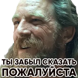 💩 f187724b ТЫ ЗАБЫЛ СКАЗАТЬ ПОЖАЛУЙСТА texto, expresión, cara, hombre, sticker, ruso whatsapp sticker