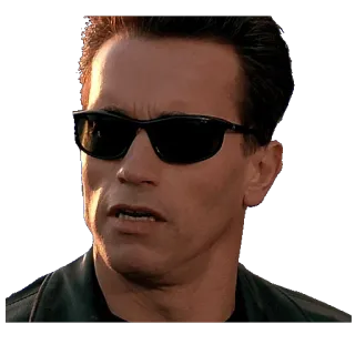 🙁 307f4a18 Arnold Schwarzenegger Schauspieler, Promi, Sonnenbrille, Film, Terminator telegram sticker