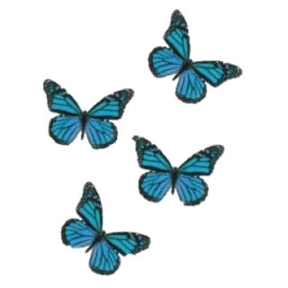 🦋 761dee12 ผีเสื้อ, สีน้ำเงิน, แมลง, ธรรมชาติ, ปีก, สวย telegram sticker