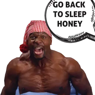 😴 542c0290 GO BACK TO SLEEP HONEY terry crews, sommeil, miel, mème, drôle whatsapp sticker
