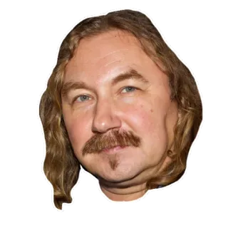 😊 fc206a07 telegram sticker