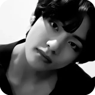 📷 1ccd8f46 kpop, piosenkarz, aktor, idol, portret, czarno białe telegram sticker