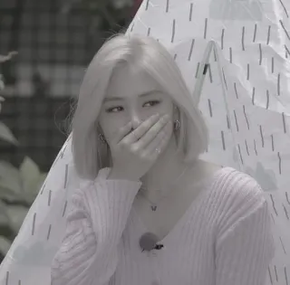 😎 331bcf97 telegram sticker