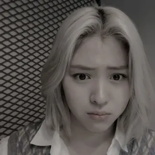 😎 3912bd33 telegram sticker