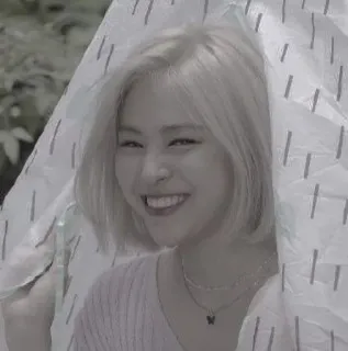 😎 722d150e telegram sticker