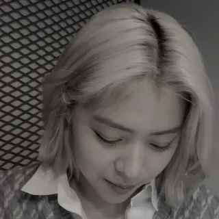 😎 d219b3d2 telegram sticker