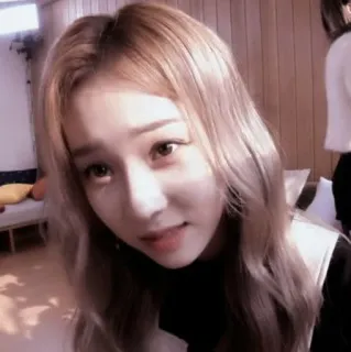 🎀 111ade62 telegram sticker