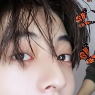 treasure💎 telegram stickers