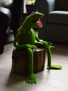 🌟 26c59908 Kermit Kermit la rana, Muppet, verde, rana, pupazzo, Jim Henson telegram sticker
