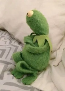 🌟 9e94d0f8 Kermit Kermit la rana, Marionetta, Muppet, Rana, Verde telegram sticker