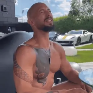 ♞ | @emojis4 @topgtt telegram stickers