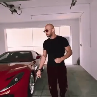 😎 7297cfe1 telegram sticker