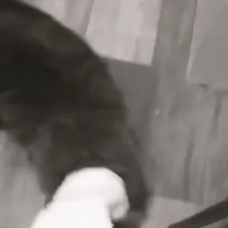 🙂 44e9c17e telegram sticker