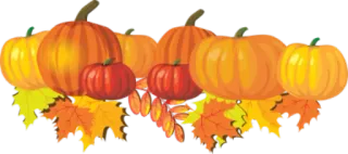 🍂 1b082079 citrouilles, feuilles, automne, automne, récolte, saisonnier, décoration whatsapp sticker