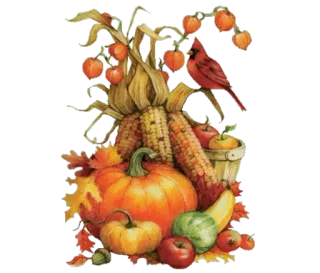 🍂 b2611241 citrouille, automne, automne, maïs, cardinal, récolte, feuilles, décoration whatsapp sticker
