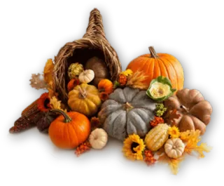 🍂 d31a8243 corne d'abondance, citrouille, courge, automne, automne, récolte, thanksgiving, légumes whatsapp sticker
