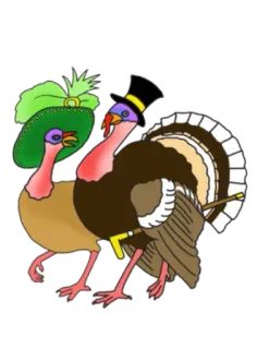 🍂 f478eaa6 dindes, oiseaux, animaux, chapeaux, thanksgiving, fête whatsapp sticker