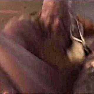 😡 88ccf201 telegram sticker