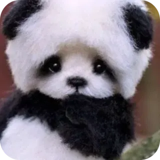 🐶 5f8857ec 熊猫, 动物, 可爱, 熊, 蓬松, 玩具, 毛绒 telegram sticker