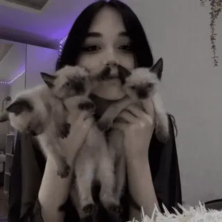 Больше стиков тут: @stikery4 telegram stickers