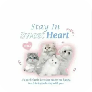🤲 d2ab6a07 Stay In
Sweet Heart
It's not being in love that makes me happy, but is being in loving with you. 可爱, 猫, 爱, 甜心, 动物, 宠物, 问候 telegram sticker