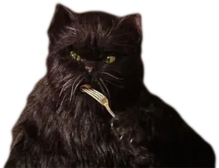 🍴 6222d73d 고양이, 포크, 동물, 검은 고양이, 먹는 telegram sticker