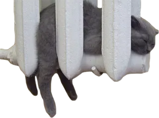 ❄️ b2df7746 고양이, 자는, 히터, 귀여운, 동물, 회색, 애완 동물 telegram sticker