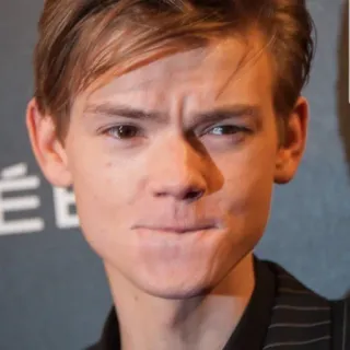 👤 07be4982 Thomas Brodie-Sangster ator, retrato, celebridade, homem, rosto telegram sticker