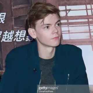 👤 3509a451 Thomas Brodie-Sangster ator, celebridade, retrato, pessoa, masculino telegram sticker
