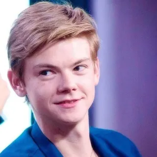 👤 bfa19e0a Thomas Brodie-Sangster ator, retrato, celebridade, jovem, Thomas Brodie-Sangster telegram sticker