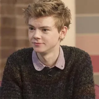 👤 fb7c8e66 Thomas Brodie-Sangster ator, celebridade, retrato, homem, pessoa telegram sticker