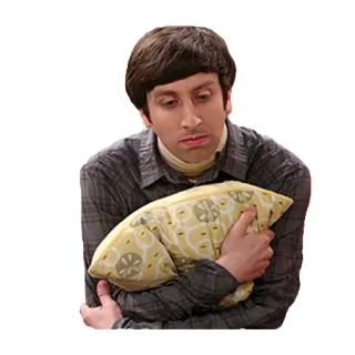 ๐ e86abaec Howard Wolowitz The Big Bang Theory tv show, engineer, nerd, hug, pillow telegram sticker