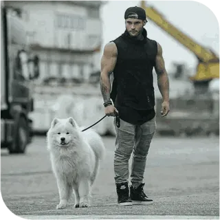 •|꯭ᴍʀ|•➲꯭͞🅟ᴏᴜʏᴀ|:♡ @The_Cutee ⃤ telegram stickers