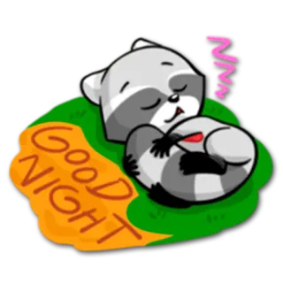🌙 4038173a Good NIGHT raton laveur, dormir, bonne nuit, dessin animé, animal, repos, mignon telegram sticker