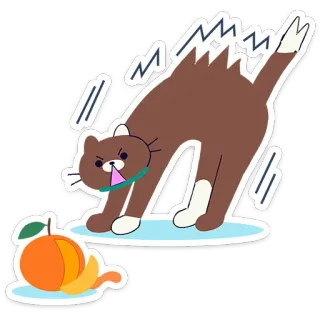 🍊 2967a1bb chat, en colère, fruit, orange, animal, autocollant, dessin animé telegram sticker