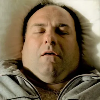 π΄ b17d7759 Tony Soprano The Sopranos sleep, sleeping, tv show, HBO, character whatsapp sticker