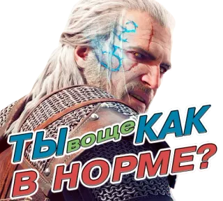 😕 618154c4 Geralt of Rivia The Witcher ТЫ ВООБЩЕ КАК В НОРМЕ? geralt, brujo, cazador de monstruos, videojuego, fantasía telegram sticker