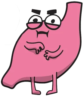 😡 87ea4873 กระเพาะอาหาร, การ์ตูน, อวัยวะ, ตลก, กายวิภาคศาสตร์, สุขภาพ telegram sticker