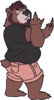 🤩 9157cb8e 곰, 가운데 손가락, 불쾌한, 만화, 동물 whatsapp sticker