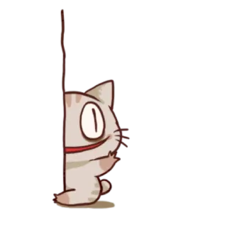 😶 63956b38 kat, gluren, schattig, dier, sticker, verstoppen telegram sticker